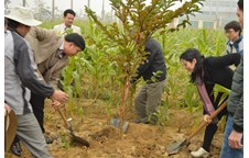 Khoa Nông Lâm Ngư: Buổi lễ trồng cây chào xuân Giáp Ngọ