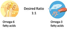Làm sao có đươc omega-3 và omega-6 cho đúng mức?